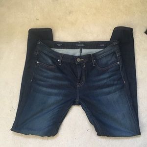 Vigoss Indigo Knit Skinny Jeans
